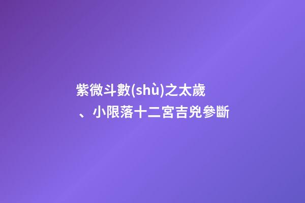 紫微斗數(shù)之太歲、小限落十二宮吉兇參斷